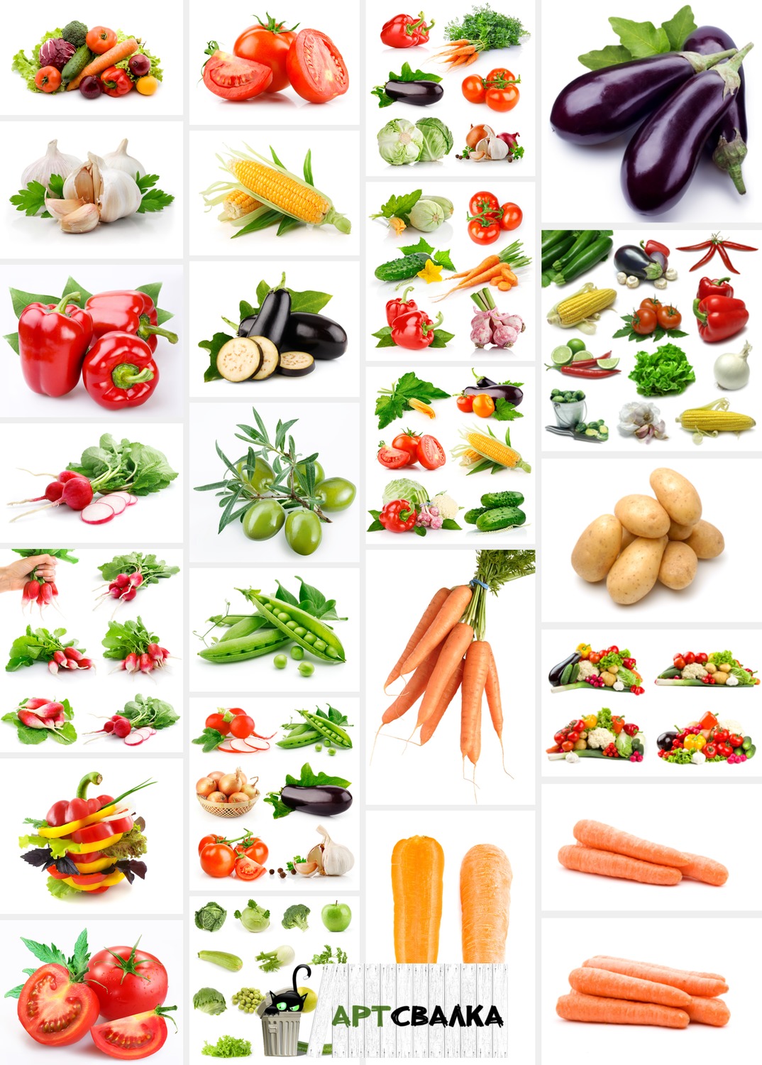 Овощи на белом фоне крупным планом в HD. Часть 1 | Vegetables on white background close up in HD. Part 1